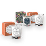 Offre de Fin d'Année: Bougie Parfumée 190 gr Bois Anciens Salimbeni + Bougie Parfumée 190 gr Épices Byzantines + Bougie Parfumée 190 gr (FRAGRANCE DE VOTRE CHOIX)