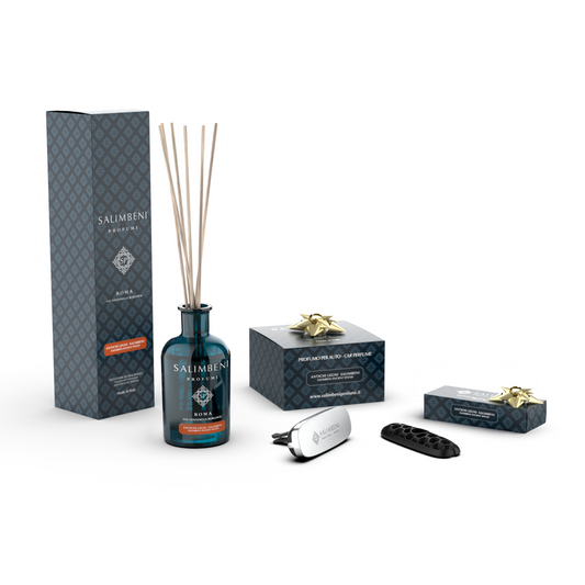 Diffuseur à Bâtonnets 100 ml (FRAGRANCE DE VOTRE CHOIX) +  Diffuseur pour Voiture Chrome Bois Anciens Salimbeni en ESSAI GRATUIT + 1 recharge pour voiture (MÊME PARFUM QUE LE DIFFUSEUR) en ESSAI GRATUIT