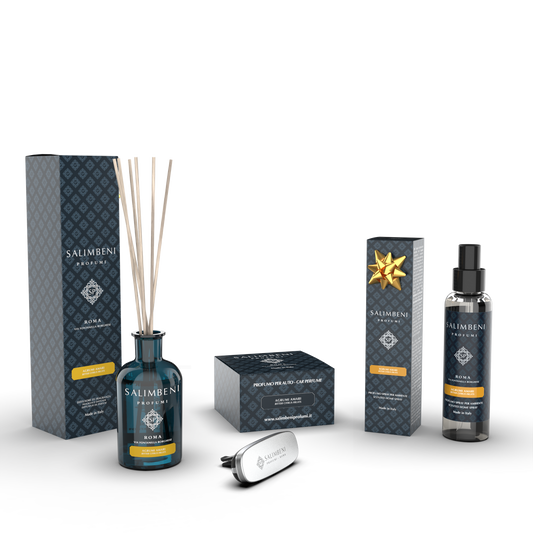 Diffuseur à Bâtonnets 100ml + Diffuseur pour Voiture (même fragrance) + Vaporisateur d'Intérieur 150ml en Essai Gratuit (même fragrance)