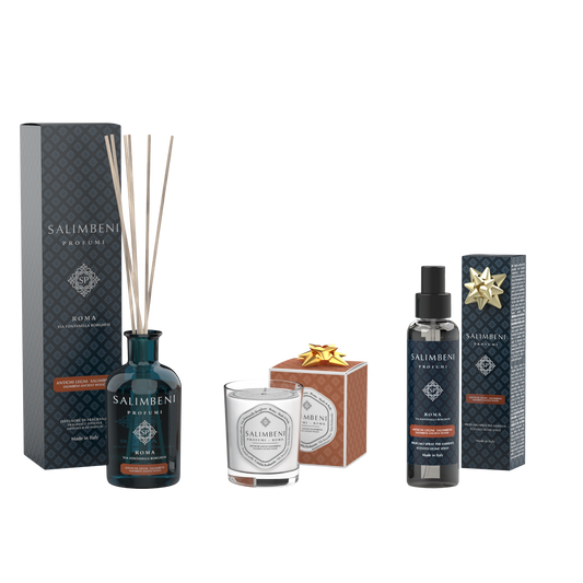 Bois Anciens 250 ml + Bougie Parfumée Bois Anciens Salimbeni en ESSAI GRATUIT + Vaporisateur d'Intérieur Bois Anciens Salimbeni en ESSAI GRATUIT