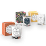 Offre de Fin d'Année: Bougie Parfumée 190 gr Bois Anciens Salimbeni + Bougie Parfumée 190 gr Épices Byzantines + Bougie Parfumée 190 gr (FRAGRANCE DE VOTRE CHOIX)