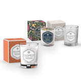 Offre de Fin d'Année: Bougie Parfumée 190 gr Bois Anciens Salimbeni + Bougie Parfumée 190 gr Épices Byzantines + Bougie Parfumée 190 gr (FRAGRANCE DE VOTRE CHOIX)