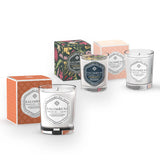 Offre de Fin d'Année: Bougie Parfumée 190 gr Bois Anciens Salimbeni + Bougie Parfumée 190 gr Épices Byzantines + Bougie Parfumée 190 gr (FRAGRANCE DE VOTRE CHOIX)